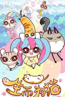 河南seo服务怎么引流